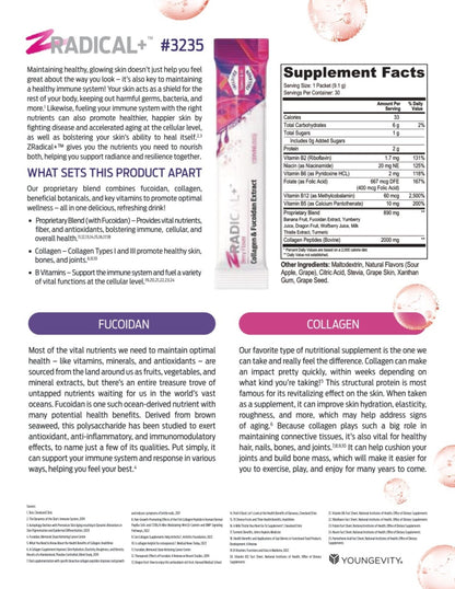 ZRadical+ product information sheet