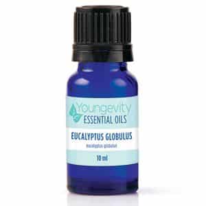 Eucalyptus Globulus Essential Oil – 10ml