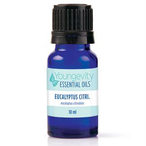 Eucalyptus Citriodora Essential Oil - 10ml